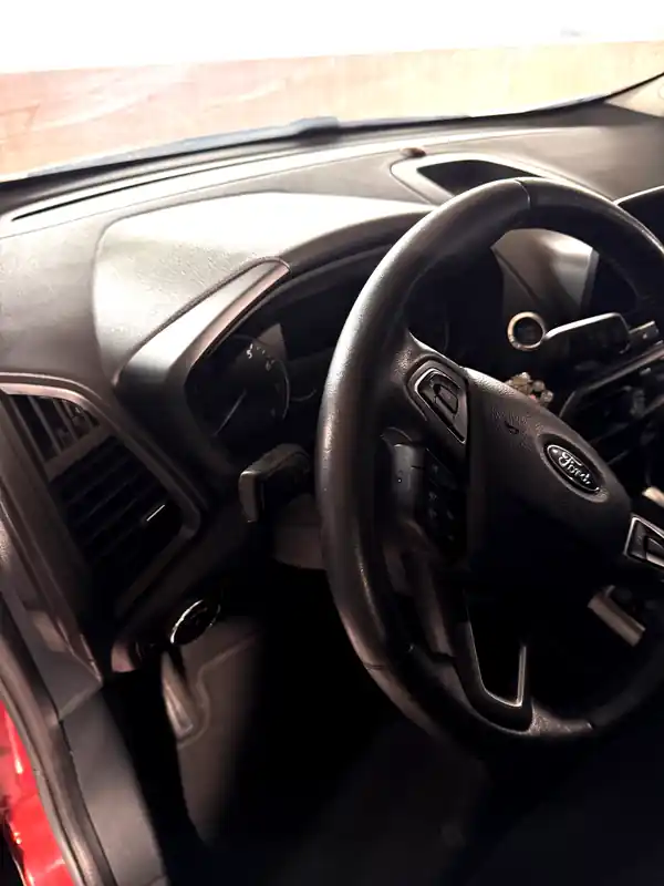 Cleaned Ford dashboard and steering wheel