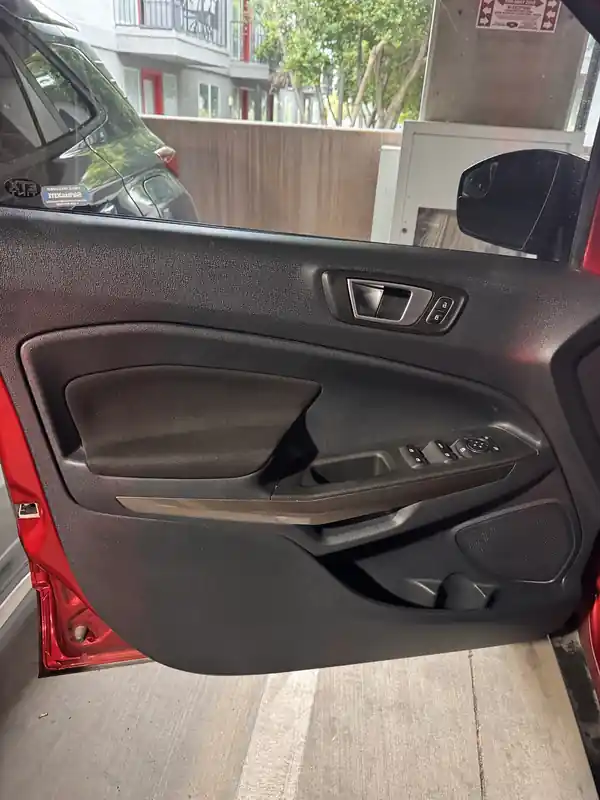 Cleaned Ford door panel